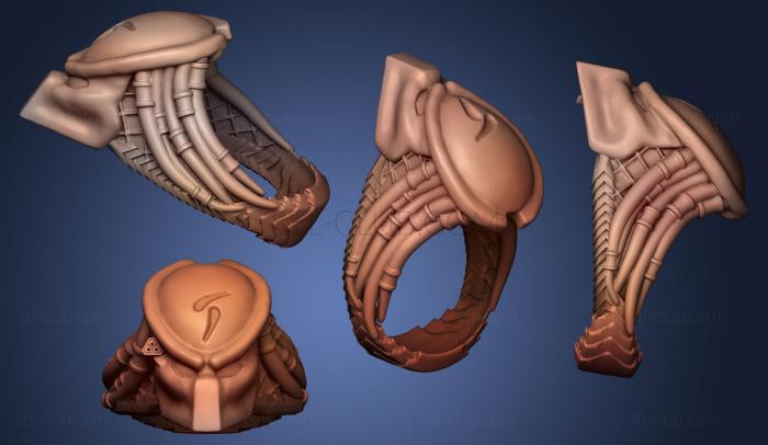 3D модель Кольцо хищника (STL)